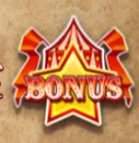 bonus icon