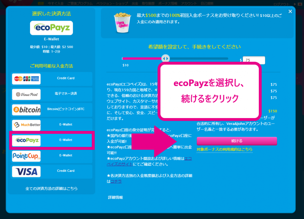 ecoPayz 入金手順2