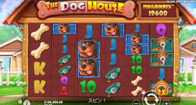 thedoghouse-main ザドックハウスメガウェイズートップ画像